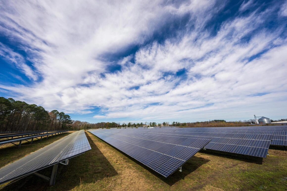 How is the Voluntary Carbon Market doing?